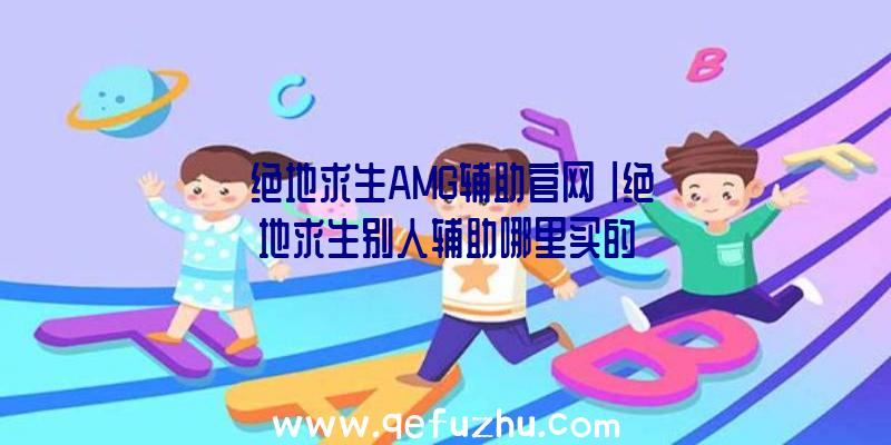 「绝地求生AMG辅助官网」|绝地求生别人辅助哪里买的